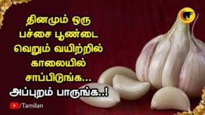 தினமும் ஒரு பச்சை பூண்டை வெறும் வயிற்றில் காலையில் சாப்பிடுங்க.. அப்புறம் பாருங்க..!