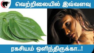 வெற்றிலையில் இவ்வளவு ரகசியம் ஒளிந்திருக்கா..!