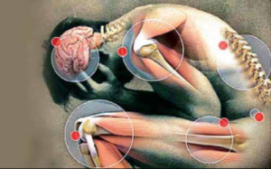 இயற்கை வைத்தியத்தின் மூலம் எலும்பு தேய்மானத்தை தடுக்கும் முறைகள்…?