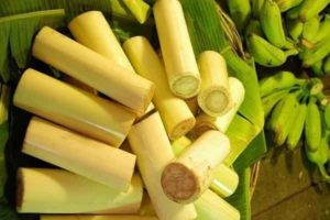 வாரத்தில் ஒரு நாள் சிறுநீரகக் கற்களை கரைக்க உண்ண வேண்டிய உணவுகள் இவைதான்!!