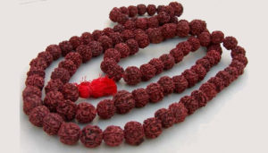 பெண்கள் ருத்ராட்சத்தை அணியலாமா? அதிர்ச்சி தகவல்..!