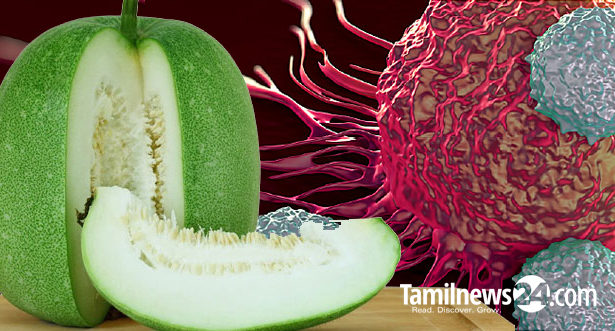 புற்றுநோயைக் குணப்படுத்தும் பூசணிக்காய்! கலிபோர்னியா பல்கலைக்கழக ஆய்வில் கண்டுபிடிப்பு!!