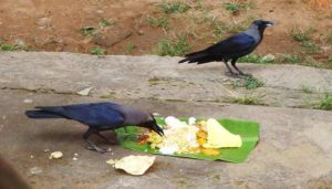 உங்கள் கஷ்டங்கள் தீர தினமும் காலையில் இதை செய்து பாருங்கள்…!