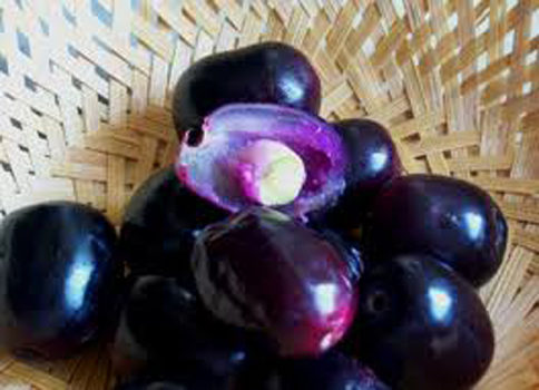 இந்த பழம் ஒன்று போதுமாம் நோய்கள் நம்மை நெருங்கவே நெருங்காதாம்!…