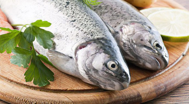 மீன் சாப்பிடுவது தற்கொலை செய்து கொள்வதற்கு சமம்: அதிர்ச்சி தகவல்!