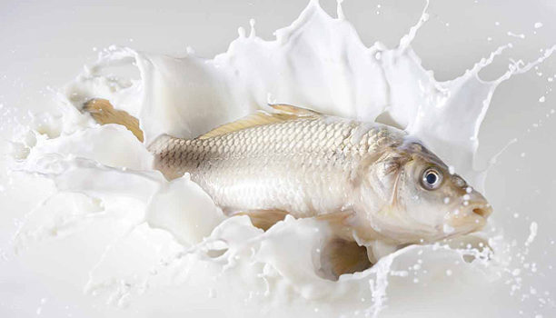 பாலுடன் இதை எல்லாம் சேர்த்து சாப்பிட்டால் பரலோகம் தானாம்..!!