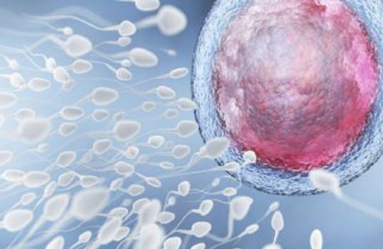 வீட்டிலேயே விந்தணு சோதனை செய்து கொள்வது எப்படி தெரியுமா?