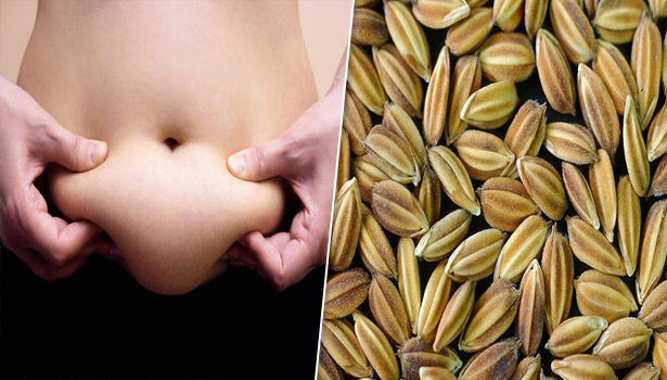 உடலில் கொழுப்பு குறையவில்லையா? இந்த விதையை இப்படி சாப்பிடுங்கள்..!