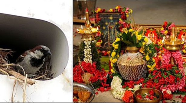 வீட்டில் இந்த பறவைகளை வளர்த்தால் தெய்வ சக்தி கூடும் என தெரியுமா..?