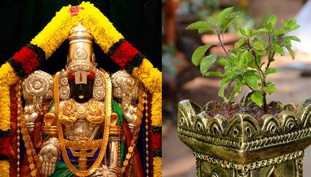 புரட்டாசி மாதம் முழுவதும்  அசைவம் சாப்பிடாமல் இருப்பதற்கு என்ன காரணம் தெரியுமா?