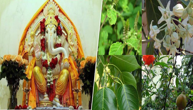 விநாயகரை இந்த  இலைகளால் அர்ச்சனை செய்தால் எதிரிகள் தொல்லை நீங்கும்..!