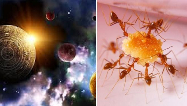 உங்களுடைய 7 தலைமுறை பாவங்களை நீக்கும் ஒரே ஒரு பொருள்’..! ஏழரை சனி கூட நெருங்க விடாத அதிசயம்..!