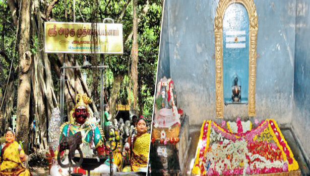 கேட்பவர்க்கு கேட்ட வரம் அருளும் அழகர் சித்தர்..!