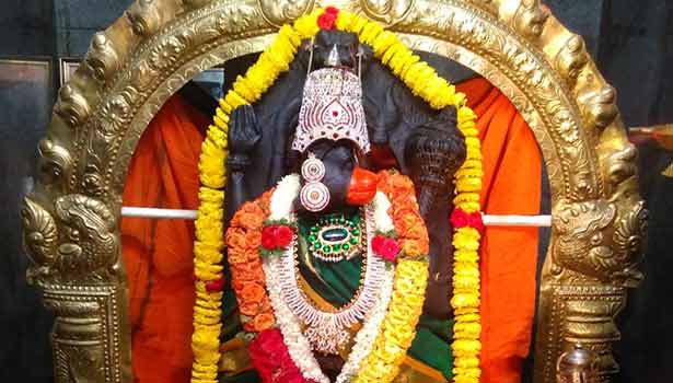 சிரஞ்சீவியாய் இருந்து நம்மை காக்க ஆஞ்சநேயருக்கு செய்ய வேண்டியவை..!