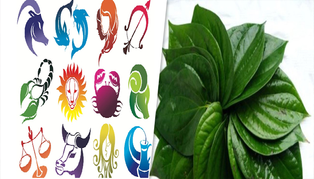 12 ராசிக்காரர்களும்  வெற்றிலையை கொண்டு செய்ய வேண்டிய வழிபாடுகள்..!