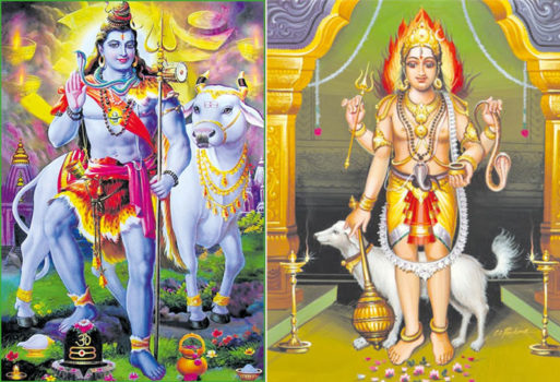 வித்தியாசமான முறையில் சிவலிங்கத்திற்கு பின்புறம் அமைந்துள்ள நந்தி சிலை..!