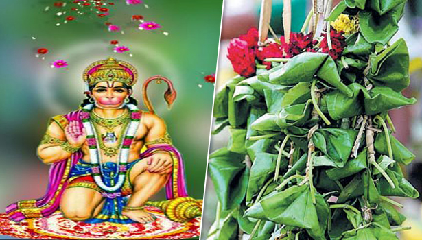 சனிக்கிழமைகளில் அனுமனுக்கு கட்டாயம் செய்ய வேண்டிய வழிபாடுகள்..!