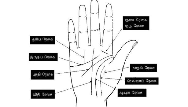 நமது கையில் உள்ள ஒவ்வொரு ரேகையின் பலன்கள் பற்றி தெரியுமா..?