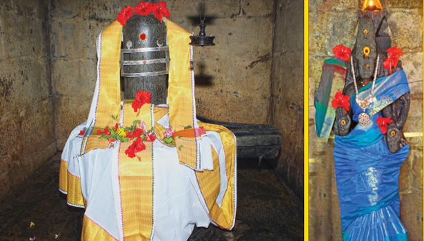 பசுக்களின் பிணிகள் நீங்கும் அதிசயம்!