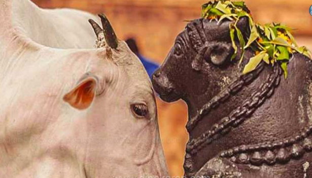 இன்று சோமவார பிரதோஷம் மறக்காதீங்க … உச்சரிக்க வேண்டிய மந்திரம்