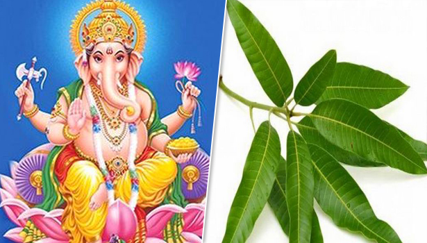 எந்த இலையில் அர்ச்சனை செய்தால் என்ன பலன் தெரியுமா..?