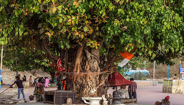 அமாவாசையான இன்று கட்டாயம் சொல்ல வேண்டிய மந்திரம்