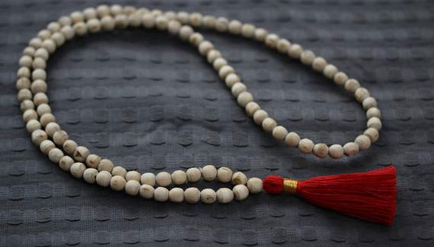 விஷ்ணுவிற்கு உகந்த துளசி மாலையின் சிறப்புகள்…!!