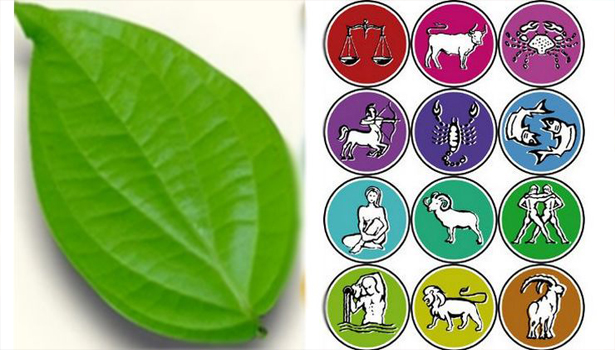 கட்டாயம் ஒவ்வொரு ராசியினரும் எந்த தெய்வத்திற்கு வெற்றிலை வழிபாடு செய்ய வேண்டும் தெரியுமா..?