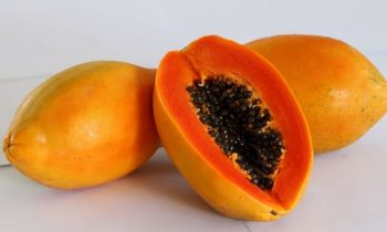 நாக்குப் பூச்சிகளை  முற்றாக அழிக்கும் பப்பாளி பழம்!