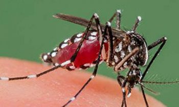 நாட்டினை உலுக்கி வரும் மற்றுமொரு நோய்!