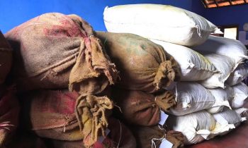 கடற்படையினரால் மீட்கப்பட்ட உலர்ந்த மஞ்சள் பொதிகள்.