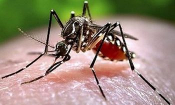 இலங்கையை தாக்கும் மற்றுமொரு வைரஸ்!