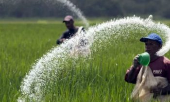 உரம் தொடர்பில் வெளியான தகவல்!