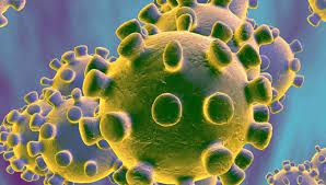 கொழும்பிலே அதிகளவான  டெல்டா தொற்றாளர்கள் அடையாளம்!