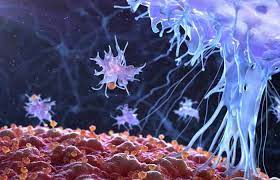 மரபணு மாற்றமடைந்த  புதிய கொவிட் திரிபுகள் கொழும்பில்!