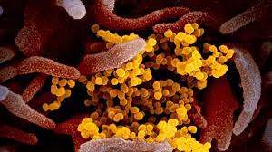 பேராபத்தாக மாறியுள்ள இலங்கை – மக்களுக்கு  விடுக்கபட்டுள்ள எச்சரிக்கை!