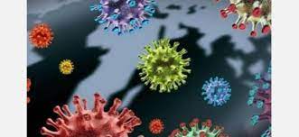 மேலும் 19 பேருக்கு  டெல்டா தொற்று  உறுதி!