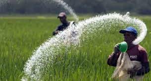 விவசாயிகளுக்கு உரம் தொடர்பில் விடுக்கப்பட்ட மகிழ்ச்சியான தகவல்!