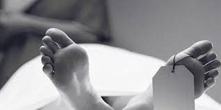 கிளிநொச்சியில் இடம்பெற்ற விபத்தில் ஒருவர்  பரிதாபமாக உயிரிழந்துள்ளார்!