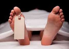 யானை தாக்குதலுக்கு இலக்காகி நபரொருவர் உயிரிழப்பு.