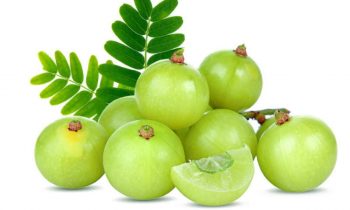 நெல்லிக்காய் உண்டால் இவ்வளவு நம்மையா ?