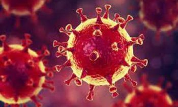 பொது மக்களே அவதானம்- மேலும் புதிதாக அடையாளங்  காணப்பட டெல்டாவின் மூன்று திரிபுகள்!