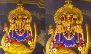 தங்கமயில் வாகனத்தில் எழுந்தருளி பக்தர்களுக்கு காட்சியளித்த நல்லூர்  முருகப்பெருமான்!