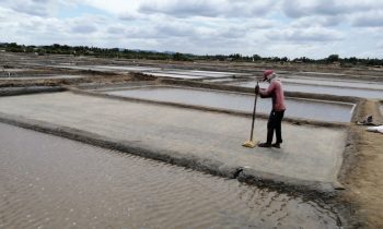 உப்பு உற்பத்தியாளர்களின் பிரச்சினைகளுக்கு தீர்வு எட்டுமா??