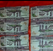 போலி நாணயத்தாளுடன்  பெண்ணொருவர் கைது!