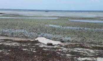 கொழும்புத்துறை உதயபுரம் கடலுக்கு அதிகாலை குளிக்கச் சென்ற முதியவர் ஒருவர் காலையில் சடலமாக மீட்பு.