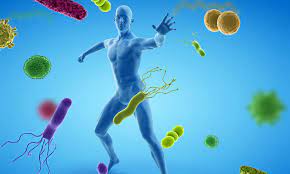 உடம்பின் நோயெதிர்ப்பு சக்தியை அதிகரிக்க…..!!