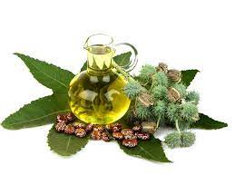 விளக்கெண்ணெய் முடிக்கு தடவலாம்... ஆனா முகத்துக்கு தடவலாமா? தடவினா என்னவாகும் நீங்களே பாருங்க... | 10 Beauty Benefits Of Using Castor Oil - Tamil BoldSky