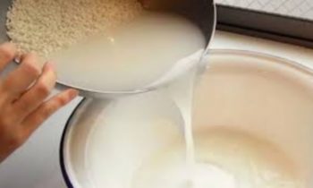 அரிசி கழுவிய தண்ணீரை பயன்படுத்திய சரும அழகை பாதுகாக்கலாம்….!!