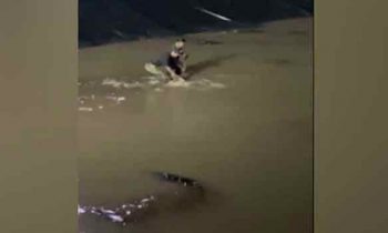 விநாயகர்  சிலைகளை  கரைக்க குளக் கட்டு சென்ற மக்கள் அதிர்ச்சியில்!